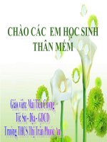 bai 7-nhiet doi gio mua