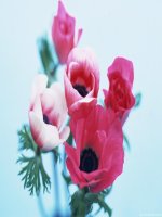 unit 1 my friends language focus