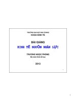 kinh tế nguồn nhân lực