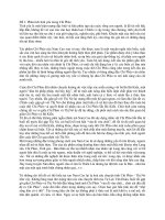 CHUYÊN ĐỀ CHÍ PHÈO