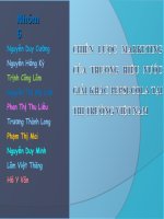 chiến lược marketing của thương hiệu nước giải khát pepsi-cola tại thị trường việt nam