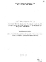 xử lý, phân tích tài liệu địa vật lý và ảnh viễn thám với mục đích điều tra địa chất và khoáng sản