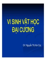 bài giảng vi sinh vật đại cương