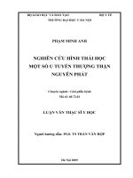 Nghiên cứu hình thái học  một số u tuyến thượng thận  nguyên phát