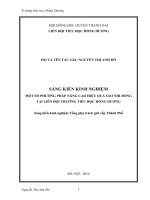 một số phương pháp nâng cao hiệu quả giờ sinh hoạt sao nhi đồng tại liên đội trường tiểu học hồng dương