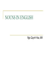 bài giảng nouns in english