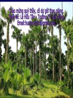 Bài 4 - Trung du Bắc Bộ