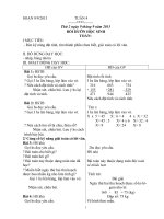 GIÁO ÁN BUỔI 2 TUÀN 4 - 7