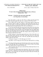 thong bao giai bong chuyen nganh giao duc