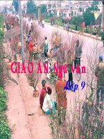 ngu văn 9- canh ngày xuan cuc hay . doc