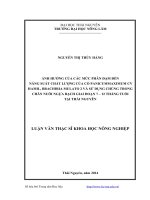 ảnh hưởng của mức phân đạm đến năng suất, chất lượng của cỏ panicummaxcimum cv hamil , brachiria mulato 2 và sử dụng chúng trong chăn nuôi ngựa bạch giai đoạn 7 – 12 tháng tuổi