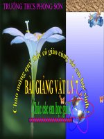 Tiết 8 Bài 8 Gương cầu lồi