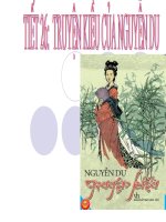 Truyen kiều của nguyễn du- ngư văn 9