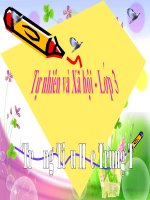 TNXH bài cơ quan tuần hoàn