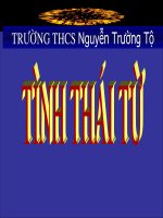 bài 7 : Tình thái từ