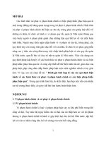 tính hợp lý các qui định hiện hành về các hình thức xử phạt vi phạm hành chính và các biện pháp khắc phục hậu quả