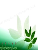 Bài 8: Lặp lại số lần chưa biết trước