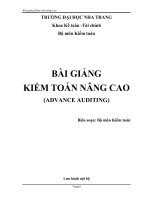 bài giảng kiểm toán nâng cao