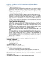 thủ tục hải quan điện tử chuyển cửa khẩu đối với hàng hóa xuất khẩu