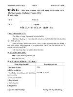 giao an tuan 6 chuan lop 4