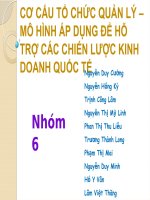 cơ cấu tổ chức quản lý – mô hình áp dụng để hỗ trợ các chiến lược kinh doanh quốc tế