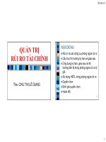 quản trị rủi ro tài chính