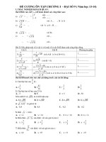 de cuong on tap chuong I dai 9