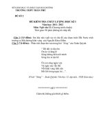 đề thi học kì I lớp 11 hay