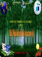 GIÁO ÁN TỤ NHIÊN XÃ HỘI