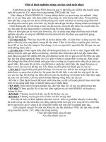 tham luan boi duong hoc sinh gioi va nang cao mui nhon cap thcs