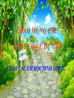 Tiết 30 Bạn đến chơi nhà (Giáo án thi)