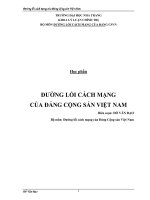 đường lối cách mạng của đảng cộng sản việt nam