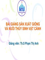 bài giảng sản xuất giống và nuôi thủy sinh vật cảnh