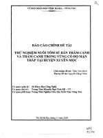 thử nghiệm nuôi tôm sú bán thâm canh và thâm canh trong vùng có độ mặn thấp tại huyện xuyên mộc
