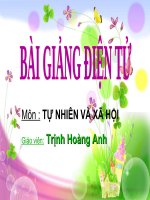 máu và cơ quan tuần hoàn