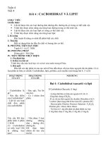 Giao an sinh 10 - co ban - Chuan ktkn