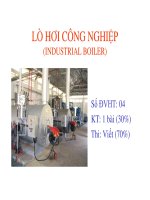 lò hơi công nghiệp