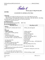 Giáo án lớp 5 tuần 6 -7 năm học 2013 - 2014