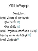Hướng dẫn vào thi giải toán violympic toán