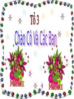 Bài 12: Một số giun dẹp khác và đặc điểm chung của ngành giun dẹp