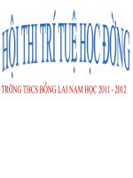 Thi Trí tuệ học đường