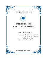 tiểu luận quản trị nguồn nhân lực tác động của lãnh đạo vào sự gắn kết của nhân viên sự khác biệt giữa người lãnh đạo là chủ sở hữu và lãnh đạo cấp cao