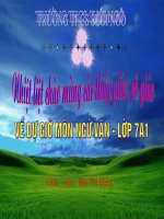 tuần 7 - tiết 25: Bánh trôi nước - mới.