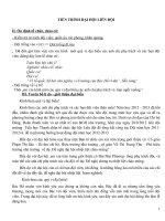 Chương trình đại hội liên đội 2013 - 2014