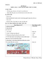 Giáo án Mỹ thuật Tuần 1 các khối