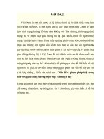 bài tập lớn môn lí luận nhà nước và pháp luật