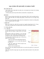 bài 1 đại cương về giải phẫu và sinh lý mắt