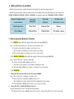 Mệnh đề quan hệ  các hình thức rút gọn (đặc biệt)