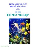 bài giảng ngư loại năm 2013