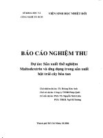 dự án sản xuất thử nghiệm maltodextrin và ứng dụng trong sản xuất bột trái cây hòa tan